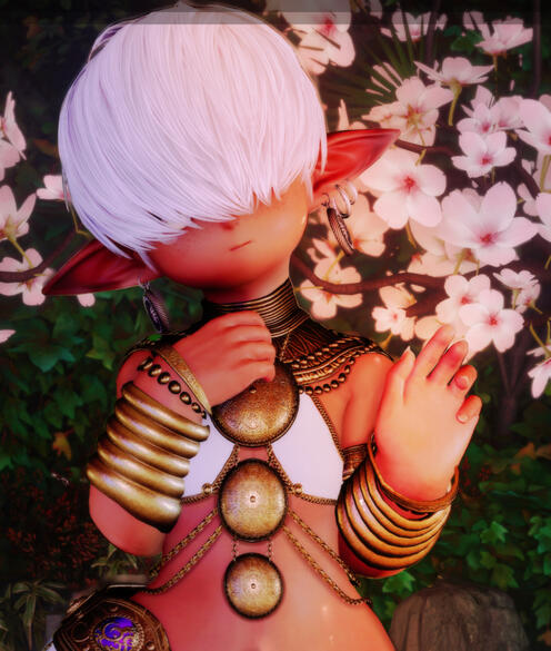 Totoki Toki